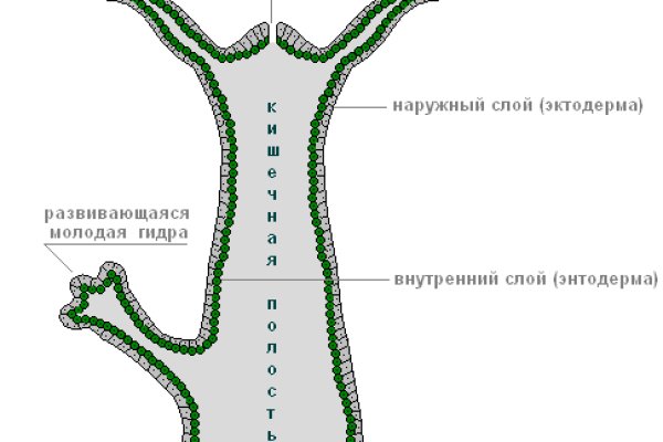 Почему не заходит на кракен