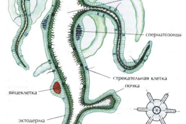 Кракен это наркозависимость